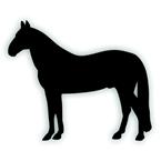 horse decal